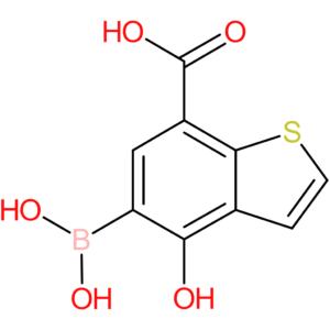 7-carboxy-4-hydroxybenzothiophene-5-boronic acid