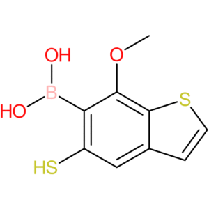 5-mercapto-7-methoxybenzothiophene-6-boronic acid