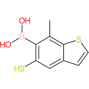 (7-methyl-5-sulfanyl-1-benzothiophen-6-yl)boronic acid