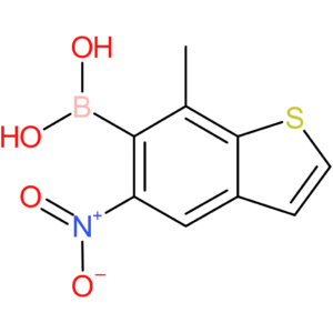 7-methyl-5-nitrobenzothiophene-6-boronic acid