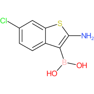 2-amino-6-chlorobenzothiophene-3-boronic acid