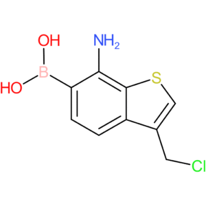 7-amino-3-(chloromethyl)benzothiophene-6-boronic acid