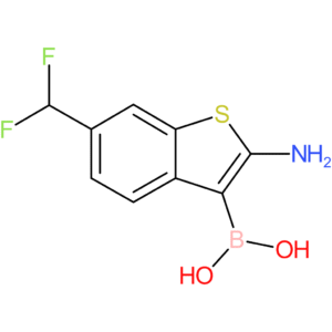 2-amino-6-(difluoromethyl)benzothiophene-3-boronic acid