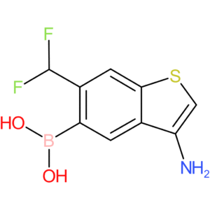 3-amino-6-(difluoromethyl)benzothiophene-5-boronic acid