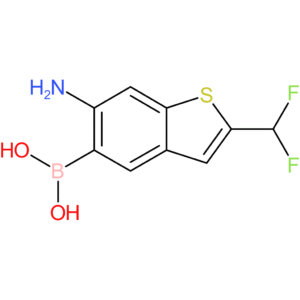 6-amino-2-(difluoromethyl)benzothiophene-5-boronic acid
