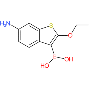 6-amino-2-ethoxybenzothiophene-3-boronic acid