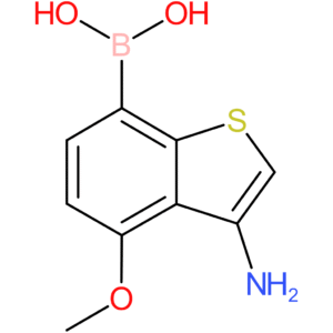 3-amino-4-methoxybenzothiophene-7-boronic acid