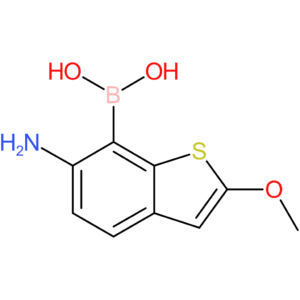6-amino-2-methoxybenzothiophene-7-boronic acid