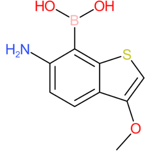 6-amino-3-methoxybenzothiophene-7-boronic acid