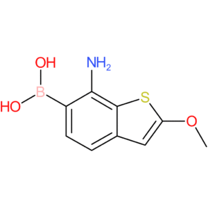 7-amino-2-methoxybenzothiophene-6-boronic acid