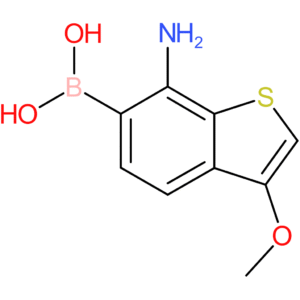 7-amino-3-methoxybenzothiophene-6-boronic acid