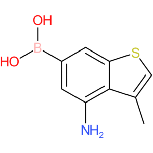 4-amino-3-methylbenzothiophene-6-boronic acid
