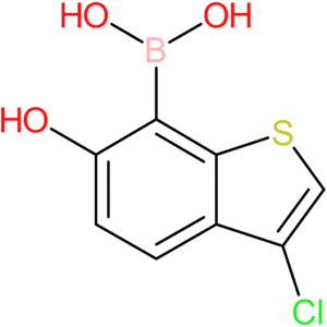 (3-chloro-6-hydroxy-1-benzothiophen-7-yl)boronic acid