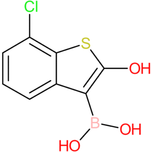 7-chloro-2-hydroxybenzothiophene-3-boronic acid