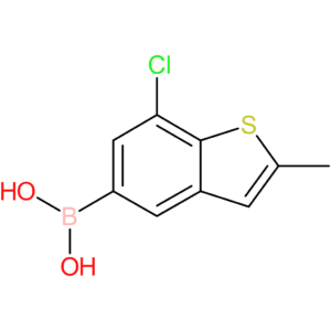 (7-chloro-2-methyl-1-benzothiophen-5-yl)boronic acid