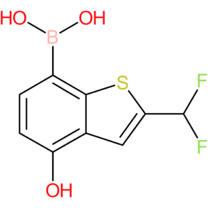 2-(difluoromethyl)-4-hydroxybenzothiophene-7-boronic acid