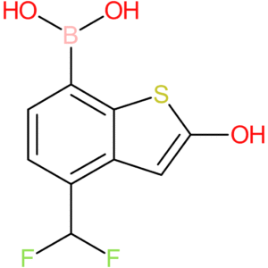 4-(difluoromethyl)-2-hydroxybenzothiophene-7-boronic acid