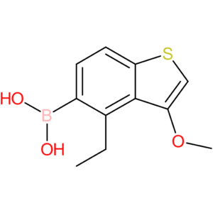 4-ethyl-3-methoxybenzothiophene-5-boronic acid