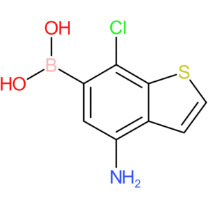(4-amino-7-chloro-1-benzothiophen-6-yl)boronic acid