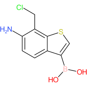 6-amino-7-(chloromethyl)benzothiophene-3-boronic acid