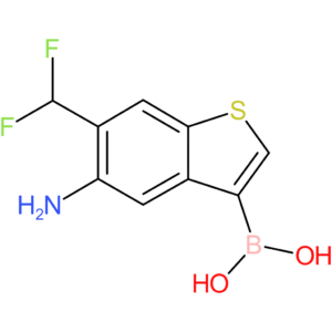 5-amino-6-(difluoromethyl)benzothiophene-3-boronic acid