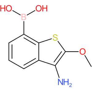 3-amino-2-methoxybenzothiophene-7-boronic acid