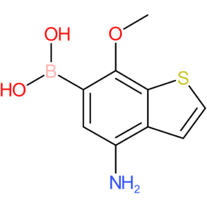 4-amino-7-methoxybenzothiophene-6-boronic acid