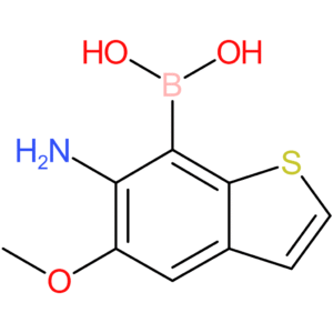 6-amino-5-methoxybenzothiophene-7-boronic acid