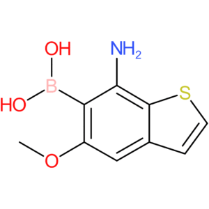 7-amino-5-methoxybenzothiophene-6-boronic acid