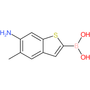 (6-amino-5-methyl-1-benzothiophen-2-yl)boronic acid