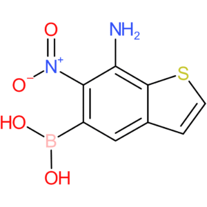 7-amino-6-nitrobenzothiophene-5-boronic acid