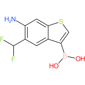 6-amino-5-(difluoromethyl)benzothiophene-3-boronic acid