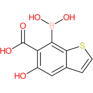 6-carboxy-5-hydroxybenzothiophene-7-boronic acid