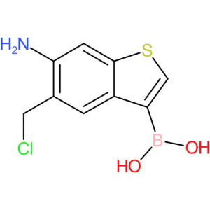 6-amino-5-(chloromethyl)benzothiophene-3-boronic acid