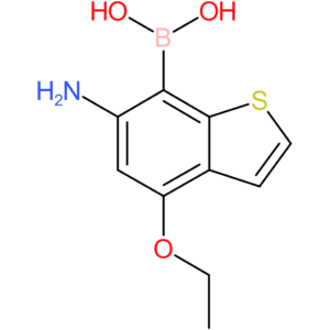 6-amino-4-ethoxybenzothiophene-7-boronic acid