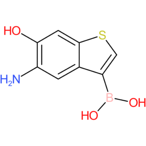 (5-amino-6-hydroxy-1-benzothiophen-3-yl)boronic acid