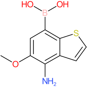 4-amino-5-methoxybenzothiophene-7-boronic acid