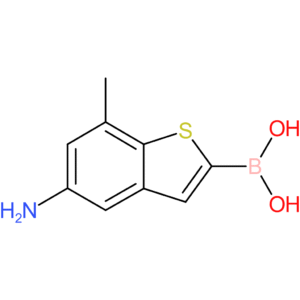 5-amino-7-methylbenzothiophene-2-boronic acid