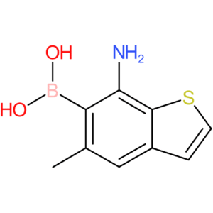(7-amino-5-methyl-1-benzothiophen-6-yl)boronic acid