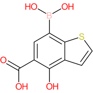 5-carboxy-4-hydroxybenzothiophene-7-boronic acid