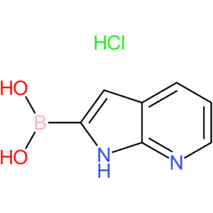 (1h-pyrrolo[2,3-b]pyridin-2-yl)boronic acid hydrochloride