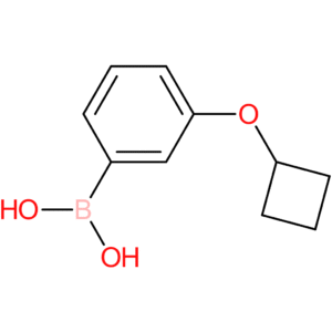 (3-cyclobutoxyphenyl)boronic acid