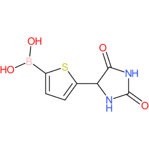 (5-(2,5-dioxoimidazolidin-4-yl)thiophen-2-yl)boronic acid