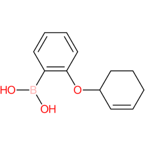 [2-(cyclohex-2-en-1-yloxy)phenyl]boronic acid