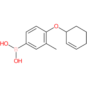 [4-(cyclohex-2-en-1-yloxy)-3-methylphenyl]boronic acid