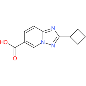 2-Cyclobutyl-[1,2,4]triazolo[1,5-a]pyridine-6-carboxylic acid