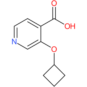 3-Cyclobutoxyisonicotinic acid