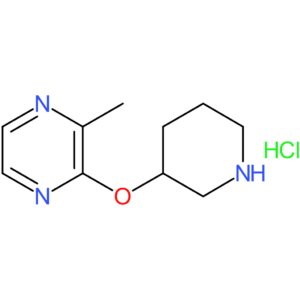 2-Methyl-3-(piperidin-3-yloxy)pyrazine hydrochloride