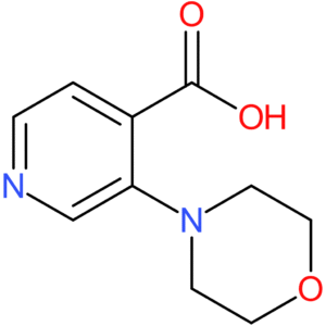 3-Morpholinoisonicotinic acid