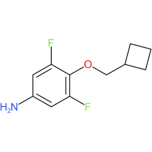 4-(Cyclobutylmethoxy)-3,5-difluorobenzenamine
